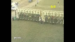 Delhi Race No 5 The Razeen Plate / win - TIME TO WIN / Jockey - Angad / #jockeyindia 2026