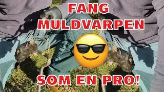 Bek&aelig;mpelse af muldvarpe med sakse: Ultimative guide (G&oslash;r det som en pro!)