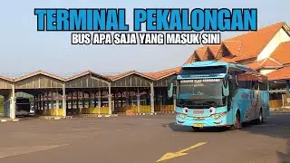SUASANA DI TERMINAL PEKALONGAN | Hunting bus angkatan sore | Terminal besar tapi ??