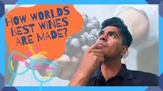 What makes a good wine [HINDI]│Wine ingredients│Building blocks of wine│#winesguruindia