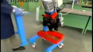 Фаскорез СМФ 900