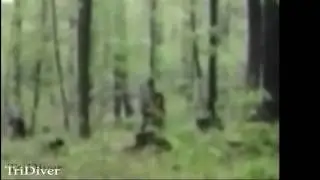 Bigfoot sighting while turkey hunting: Breakdown