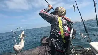 WIDE OPEN A RIG BITE! BIG SAND BASS ON THE @HookupBaits  A RIG