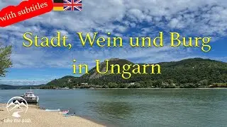 #55 Stadt, Wein und Burg in Ungarn / Vanlife Ungarn