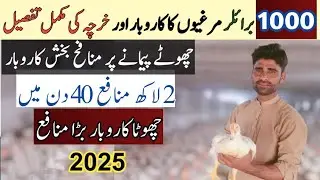 1000 Broiler Farming Feasibilty Report 2025