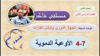 الأوعية الدموية علوم صف ثامن منهج كامبردج الفصل الدراسي الثاني