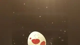 I heard you like Pok&eacute;mon Go egg hatching 🐣