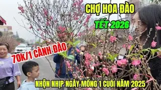 70k-100k Một Cành Đào - Nhộn Nhịp Ngày Mồng 1 Cuối Cùng Năm 2025 Tại Chợ Hoa Đào Lớn Nhất Tết Hà Nội