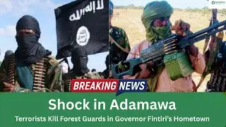 Shock in Adamawa: Terrorists Kill Forest Guards in Governor Fintiri&rsquo;s Hometown
