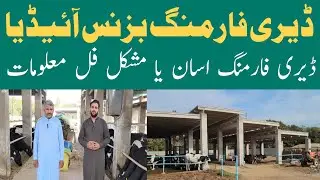 Starting Dairy Farm Business in Pakistan|Dairy Business Idea|Dairy Farm Profit Calculation