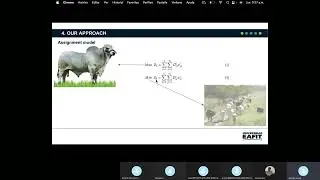 Multi-objective optimization model to maximize cattle weight gain in rotational-grazing