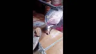 Molten Aluminum Pouring Epic Moments | ASMR
