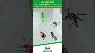 Dites stop aux insectes et aux ravageurs gr&acirc;ce &agrave; notre filet anti-insectes. #filetanti-insectes