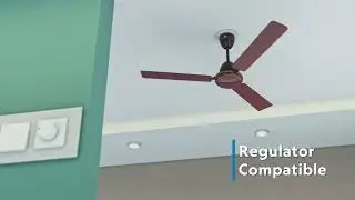 Zoer BLDC Ceiling Fan: Reverse Rotation & Stylish Functionality in One