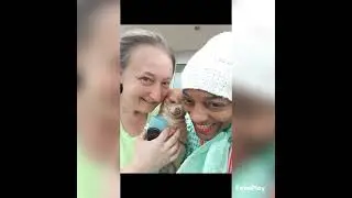 Goodwill Industries A.R.K. Animal Resources Kindness Nonprofit Charity Vll Brian & Abigail Danyleyko