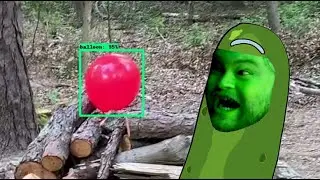 Containerized Real Time Custom Object Detection Training Tensorflow Python Docker MobileNet SSD