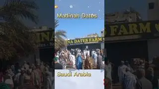 madinah dates #madina #madinah #shorts #short #hanif #shad