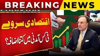 Economic Survey 2024&ndash;25 | How Much Has Per Capita Income Increased in Pakistan?