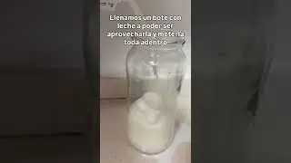 Yogur + leche = Fungicida natural potente (LAB explicado f&aacute;cil) 🧪🌱