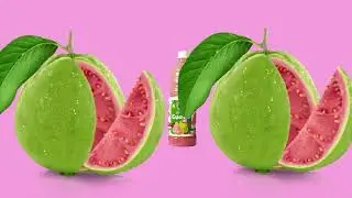 Guava Juice from Bhutan Agro Industries Limited | Bhutan Agro Industries Limited | Add video