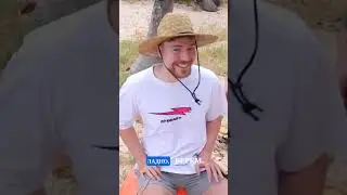 oceanic discovery chicken chase! 1
