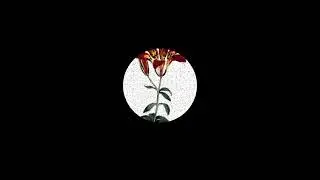 FREE | WESTSIDE GUNN X LO-FI X J DILLA TYPE BEAT ''UGLY QUIRKS''