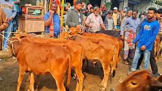 @আজ ২ ফেব্রুয়ারী