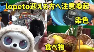 lopetoを迎える方へ注意喚起！腕折れからの分解、染色、食べ物