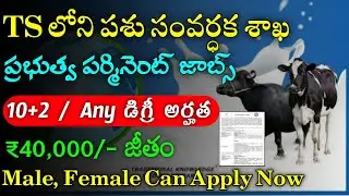 TS లోని పశు సంవర్ధకశాఖలో జాబ్స్ || Latest Govt Jobs 2022 || NIAB Recruitment 2022 || Jobs In Telugu