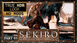 Sekiro: Shadows Die Twice &mdash; Complete Walkthrough & Platinum Trophy Guide &mdash; Part 05