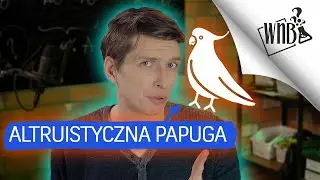 Altruistyczne papugi są altruistyczne