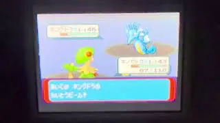 Pokemon Emerald (JPN) vs Gym Leader Juan