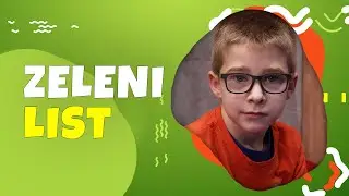 Zeleni list - Lara Aranđelović