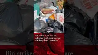 Birmingham bin strike: 'Our kids are suffering, but Labour are just thinking about themselves.'