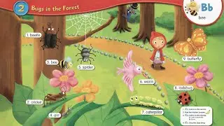 Longman's Picture Dictionary for Children - Bugs in the Forest - Topic 2