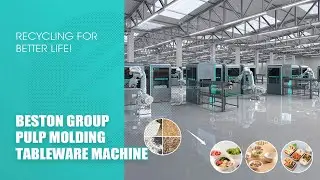 3D Video of Beston Group Pulp Molding Tableware Machine