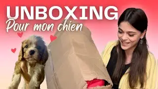 UNBOXING pour l’arrivée de mon CHIOT