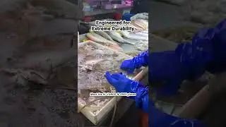 Enhance Your Safety: Unbeatable Food Processing Gloves