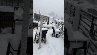 Beautiful Snowfall Video | Relaxing Winter Snowfall Scenery | Nature Vibes  #trending #viralshorts