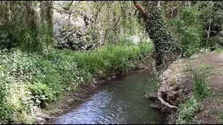 IGNY (91)  la Bi&egrave;vre