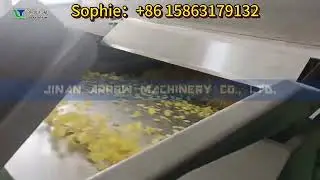 Fully automated corn flakes production line Breakfast corn flakes production line Taiwan customer