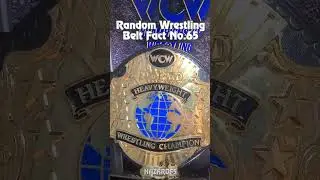 WCW 91-94 World Title Belt #shorts #wwe #wrestlemania #Collection WWE Replica Belt Review
