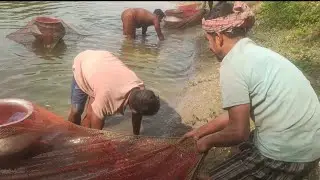 Amazing Fishing Video!Best Village Fishing Video. Net Fishing Video
