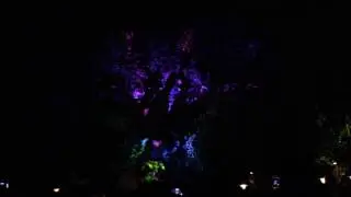 The Tree of Life: Nighttime Awakenings