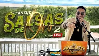 Salsas De Oro Mix Part 2 -  Solo Palos Agosto 2025
