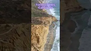 Torrey Pines: A San Diego Gem