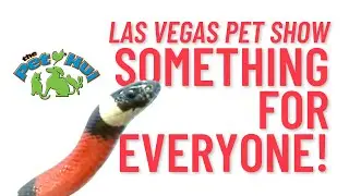 The Pet Hui Goes to SuperZoo in Las Vegas!