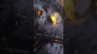 Macro Extremo: Ara&ntilde;a