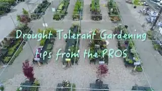 Drought Tolerant Landscaping for Utah