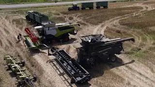 FENDT IDEAL 9T & CLAAS LEXION 6800TT bei der Raps Ernte / alte Aufnahme von 2021 / 4K